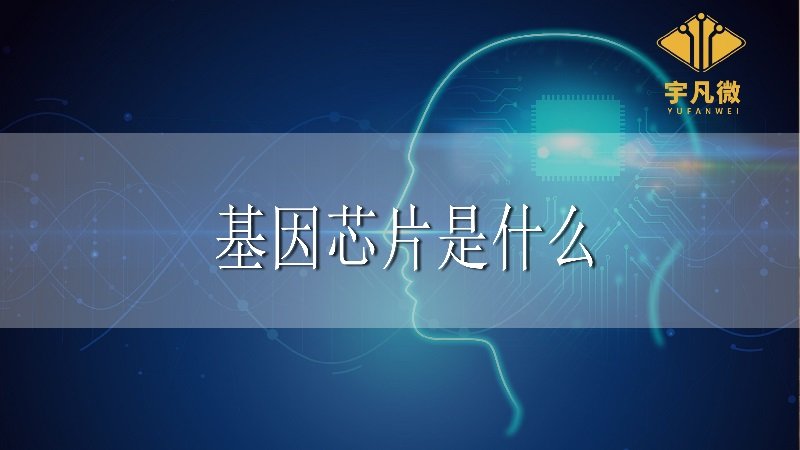 基因芯片是什么?應用在哪些行業?